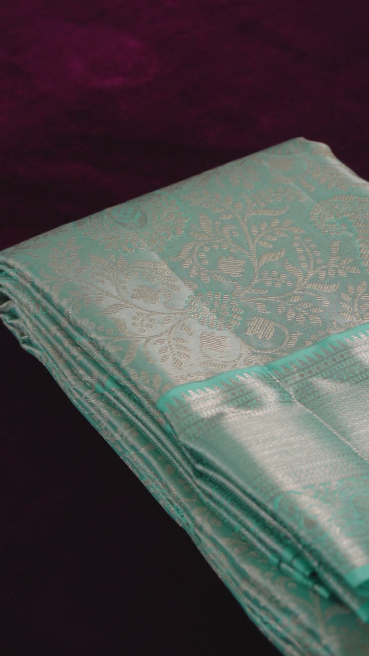 Hamsadhwani — Light Aqua Pure Silk Saree with Pure Zari